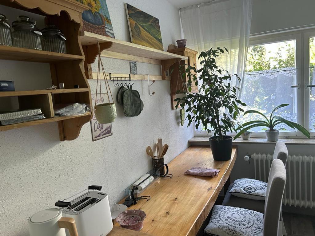 Ferienwohnung An Der Loipe 리히텐슈타인 외부 사진
